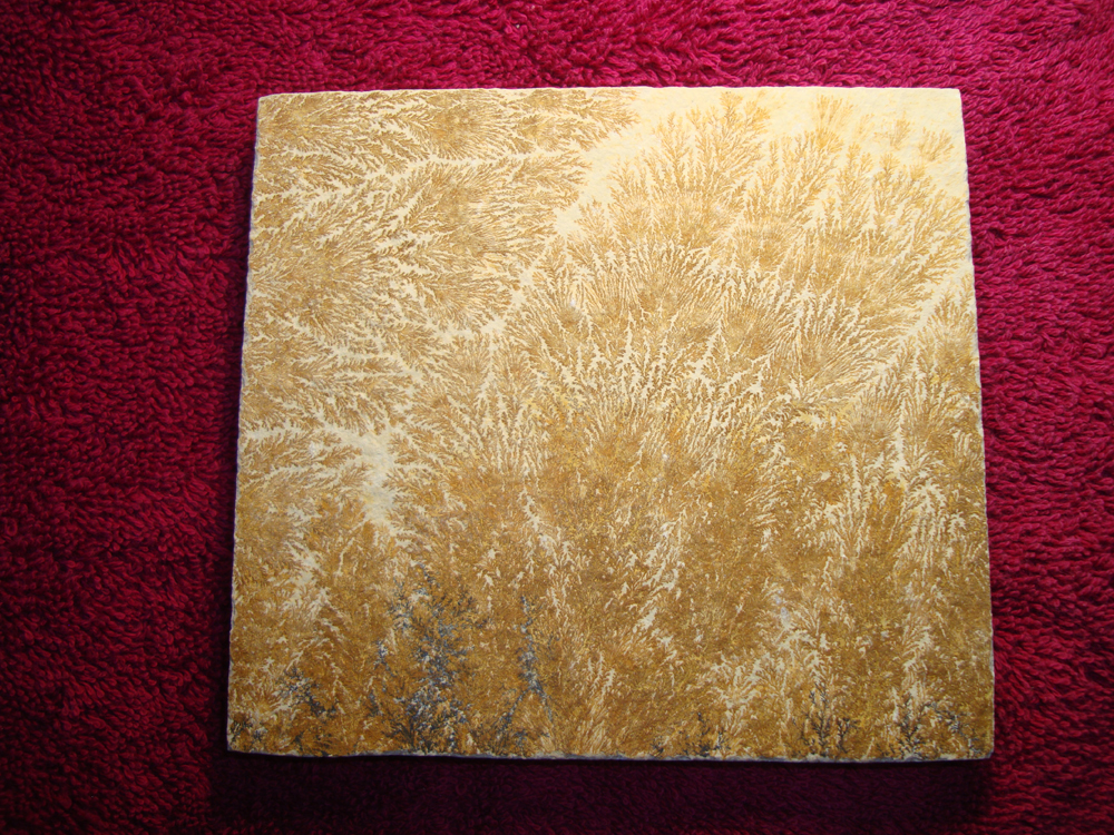 Dendrite DSC07407 (FRONT)