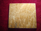Dendrite DSC07407