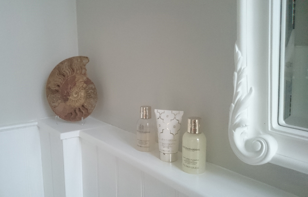 Large Split Polished Ammonite In Situ