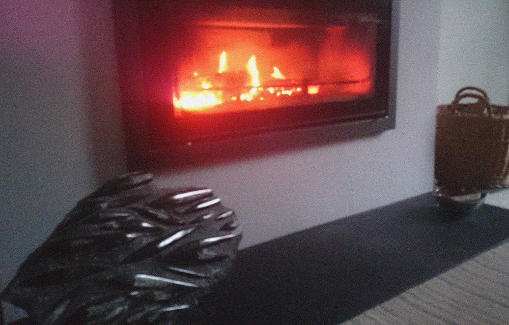 Orthoceras Plaque In Situ