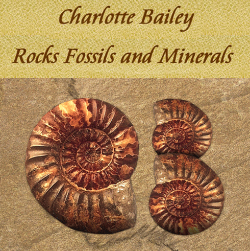 Charlotte Bailey Rocks Fossils and Minerals Blog
