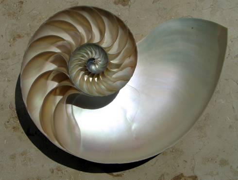 Image by Chris 73 / Wikimedia Commons