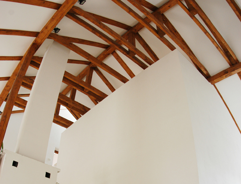 Architectural blank canvas for a large fossil
