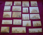 Dendrites For Sale