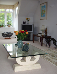 Fossils and Minerals In Situ