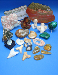 Information and FAQs about Rocks Fossils and Minerals