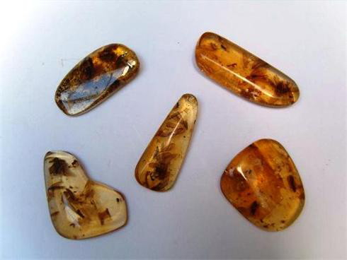 Columbian Copal (Amber)
