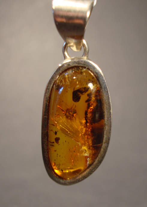 Amber Pendant with Inclusions