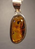 Amber Pendant with Inclusions - Really Special