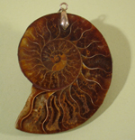 Split and Polished Ammonite Pendant - Classic Gift