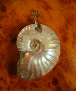 Pearlised Ammonite Pendant - Exquisite Gift