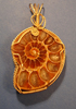 Mounted Ammonite Pendant
